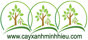 417ae7b2 d61d 44a1 9431 271150f63783