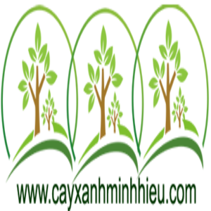 668f2af6 1c5d 4fb9 9563 66ac36eb147a